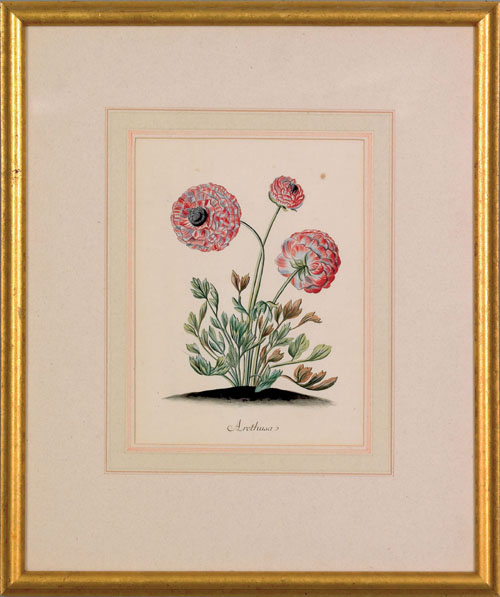 Appraisal: Pair of hand colored floral engravings early th c x