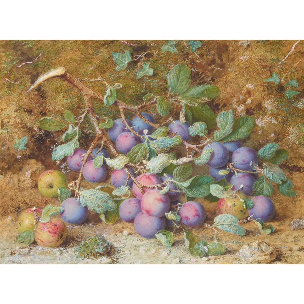 Appraisal: WILLIAM HOUGH BRITISH - A STILL LIFE OF PLUMS AND