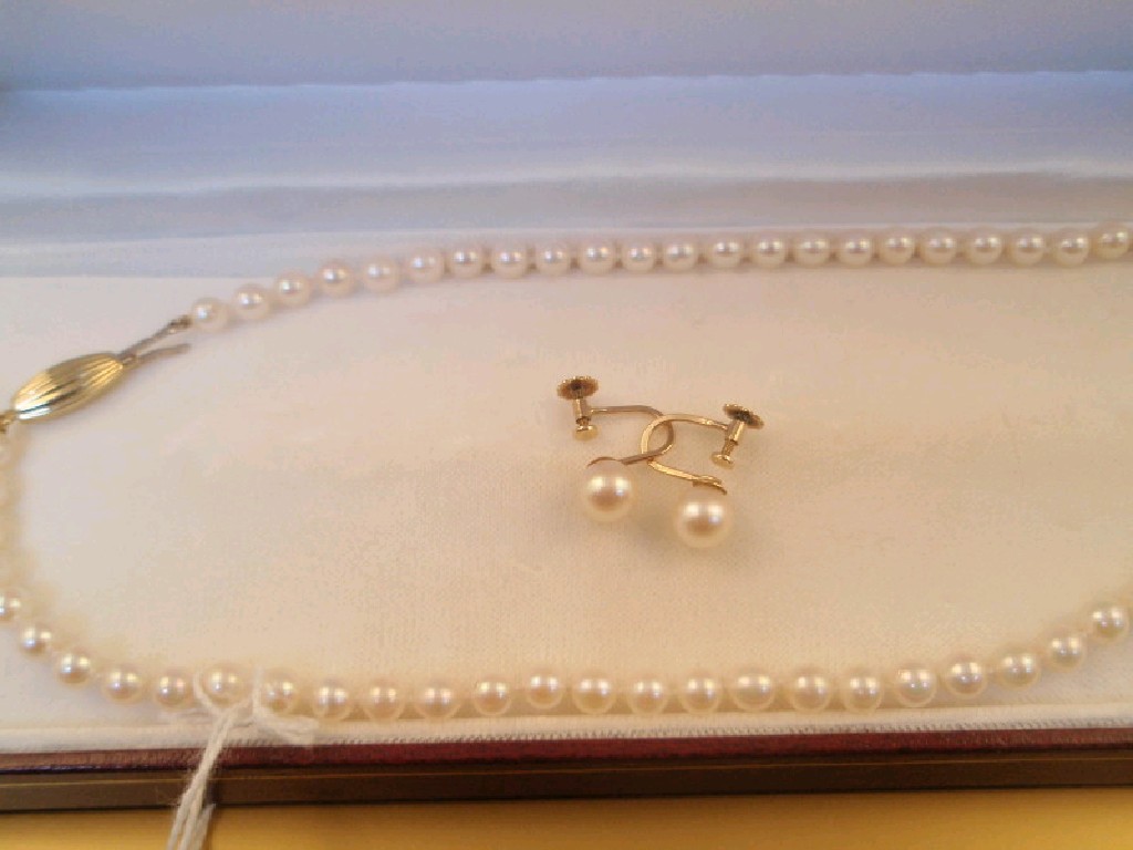 Appraisal: A uniform size cultured pearl necklace with clasp stamped kt