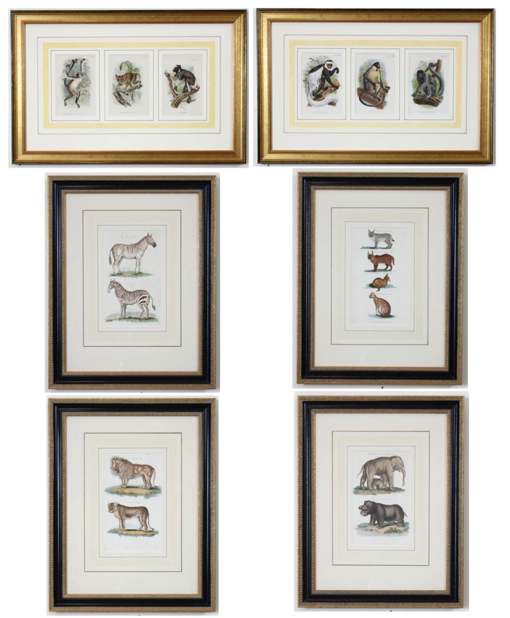 Appraisal: ANIMAL PRINTS four framed etchings after George Shaw U K