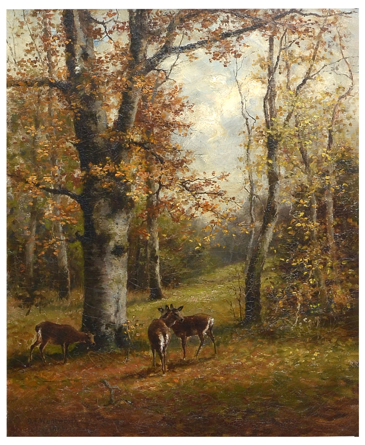 Appraisal: WENTWORTH Daniel American Norweigan - ''Deer in the Forest'' Oil