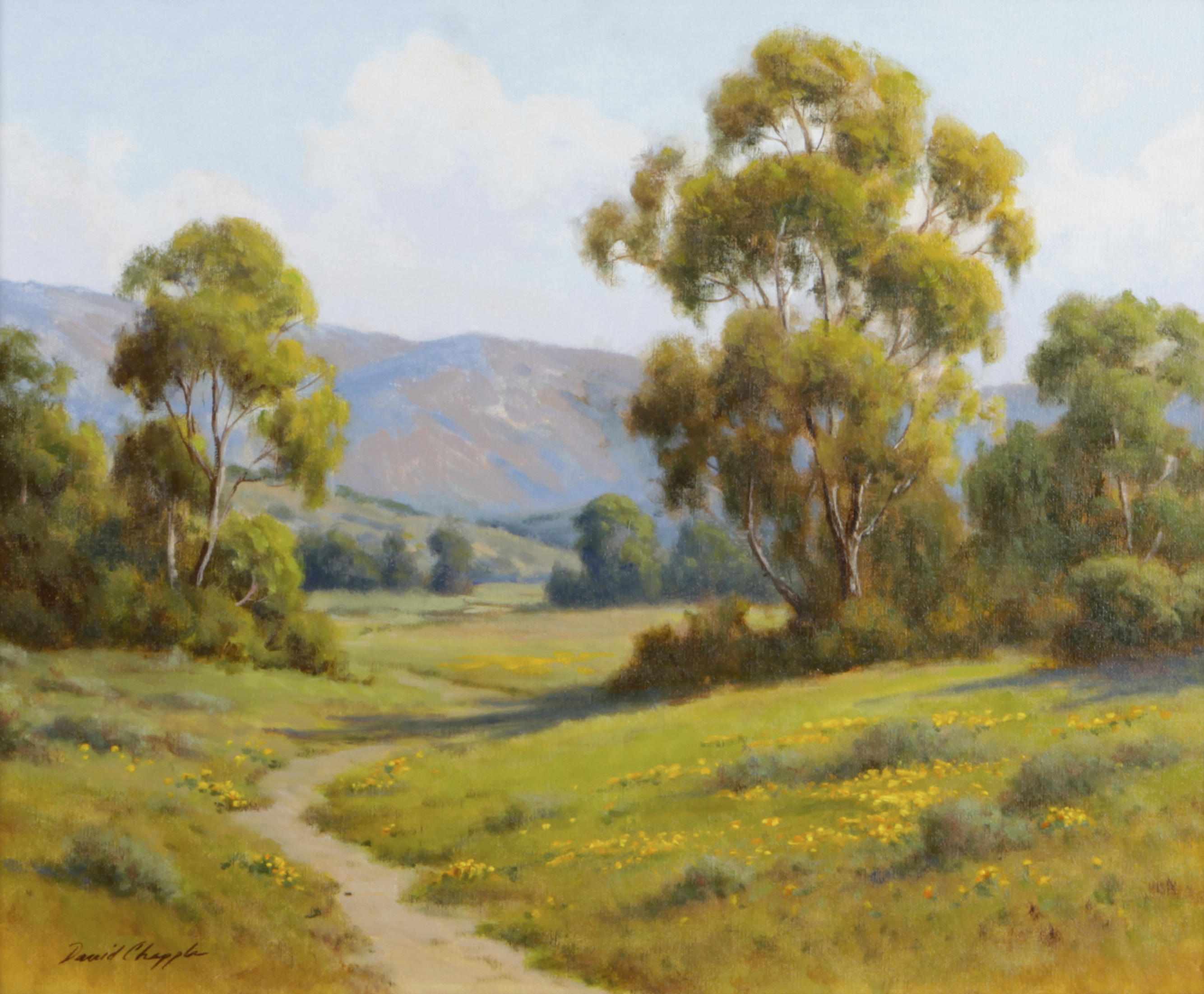 Appraisal: David Chapple American born California Eucalyptus signed 'David Chapple' lower