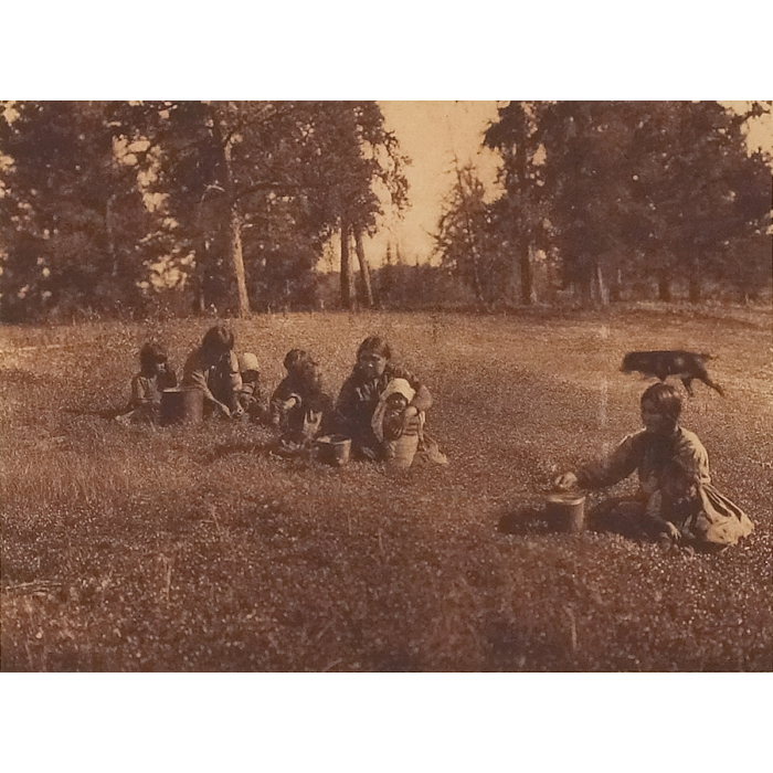 Appraisal: Edward Sheriff Curtis photogravure Picking Blueberries - Cree margin marked