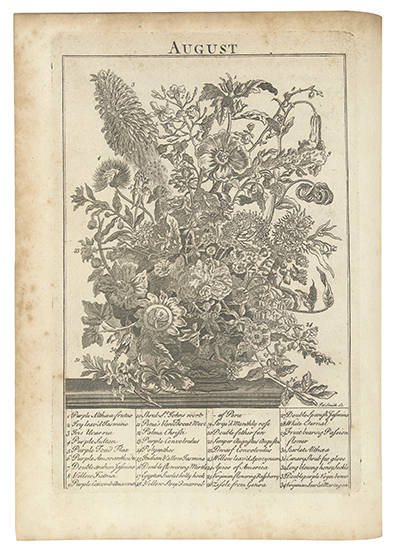 Appraisal: BOTANICAL Furber Robert and Richard Bradley The Flower-Garden Display'd Engraved