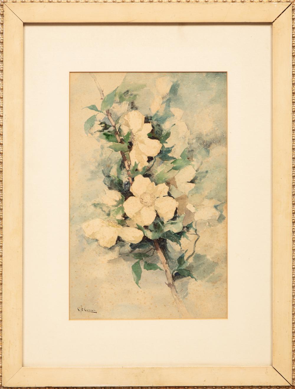 Appraisal: Charlotte Buell Coman American Iowa - White Roses watercolor on