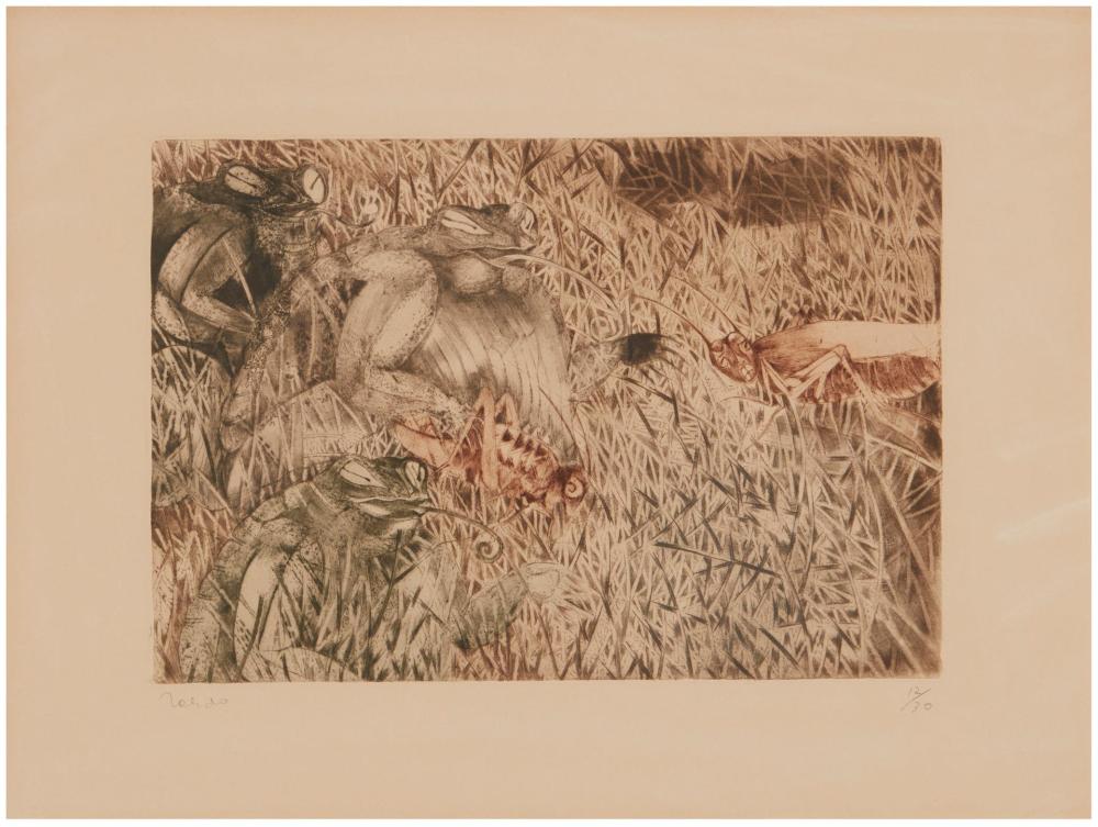 Appraisal: Francisco Toledo - Mexican Sapos y Chapulines Etching roulette and