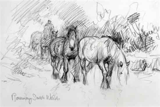 Appraisal: Rosemary Sarah Welch pencil Ponies signed x in Estimate -