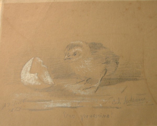 Appraisal: Hatched chick with shell pencil and chalk x SLL A