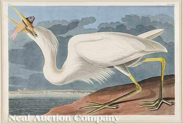 Appraisal: John James Audubon American - Great White Heron Plate CCLXXXI