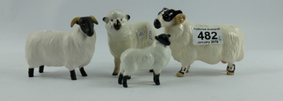 Appraisal: A collection of Beswick sheep to include Black faced sheep