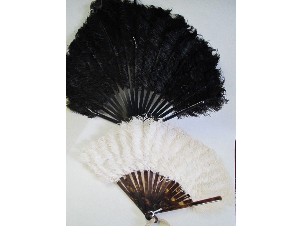 Appraisal: Lot comprising two feather fans