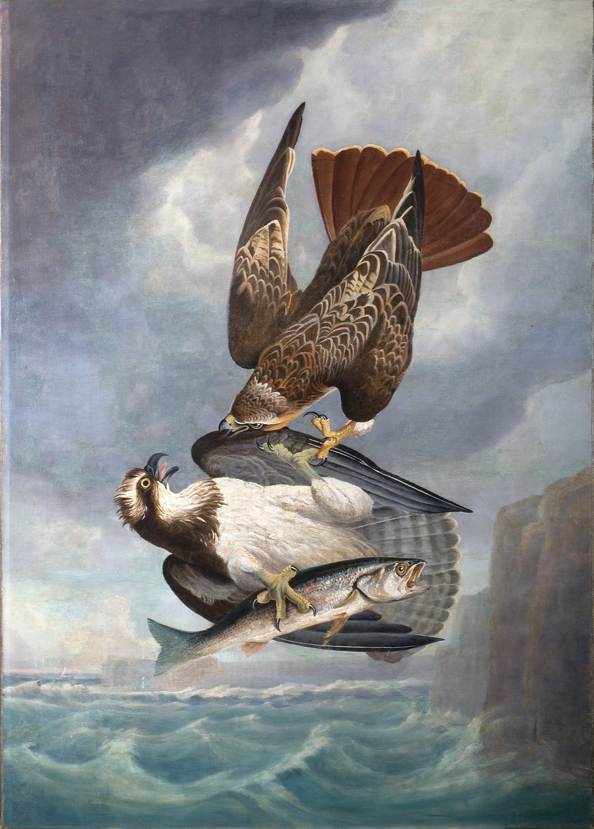 Appraisal: ROBERT HAVELL JR ANGLO AMERICAN - RED-TAILED HAWK AND OSPREY