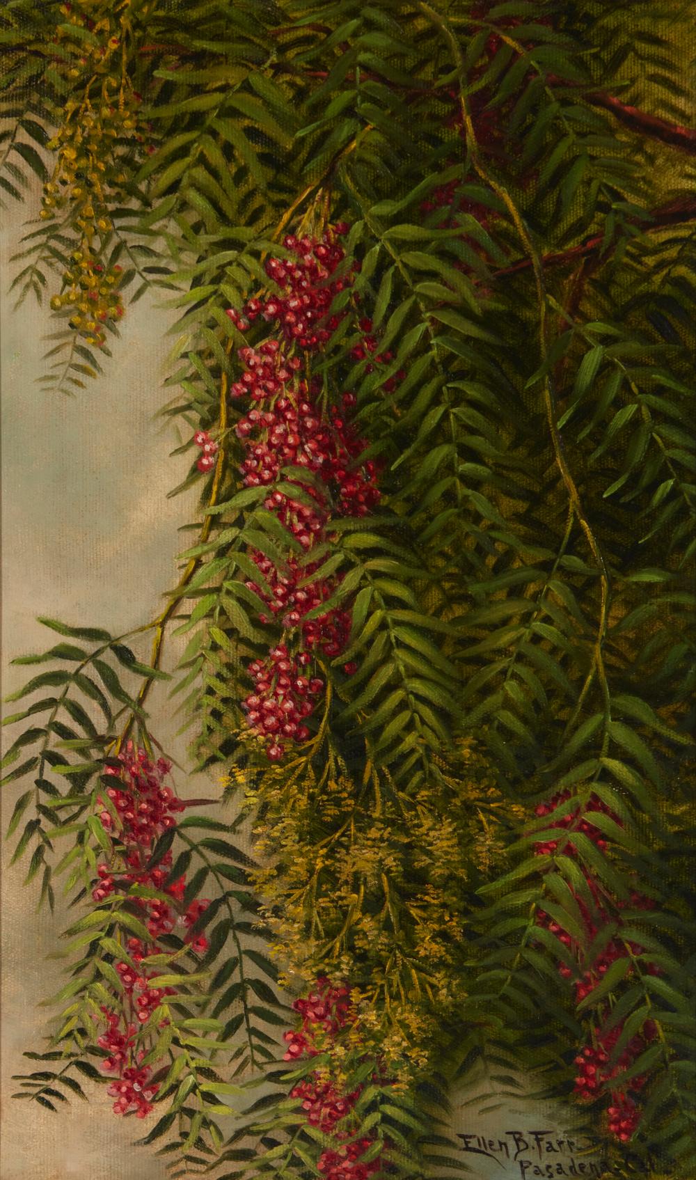 Appraisal: ELLEN BURPEE FARR - PEPPER TREE OIL ON CANVAS H