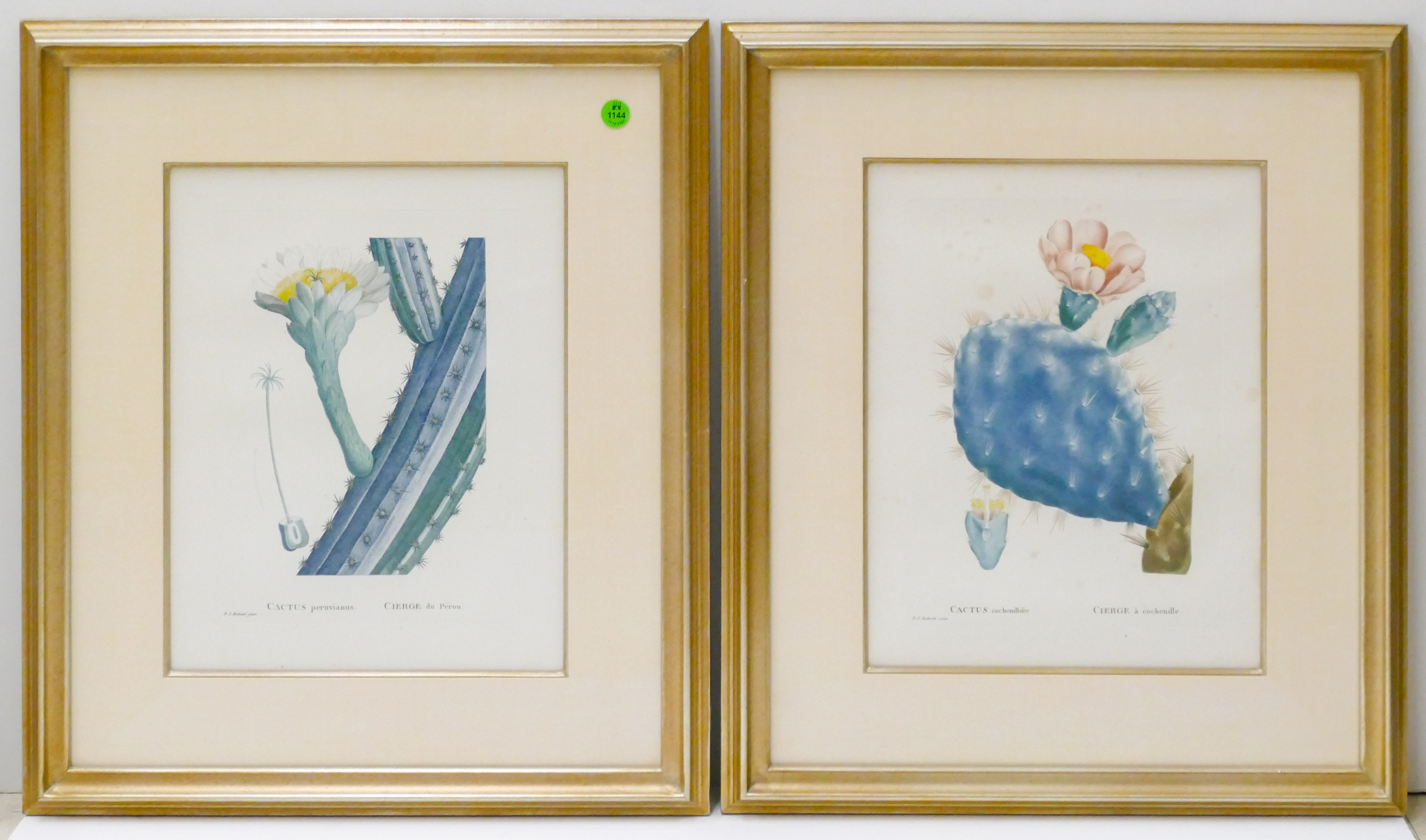 Appraisal: Pair Candolle th Cent Botanical Engravings - Artech Denman Framing