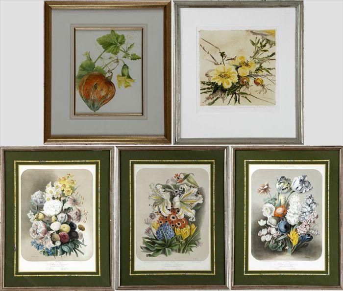 Appraisal: Three French Botanical Prints Hand-colored lithographs matted and framed Together