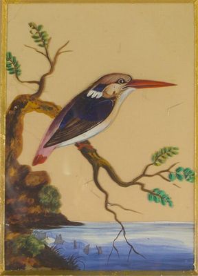 Appraisal: Four mica pictures depicting exotic birds seated on branches each