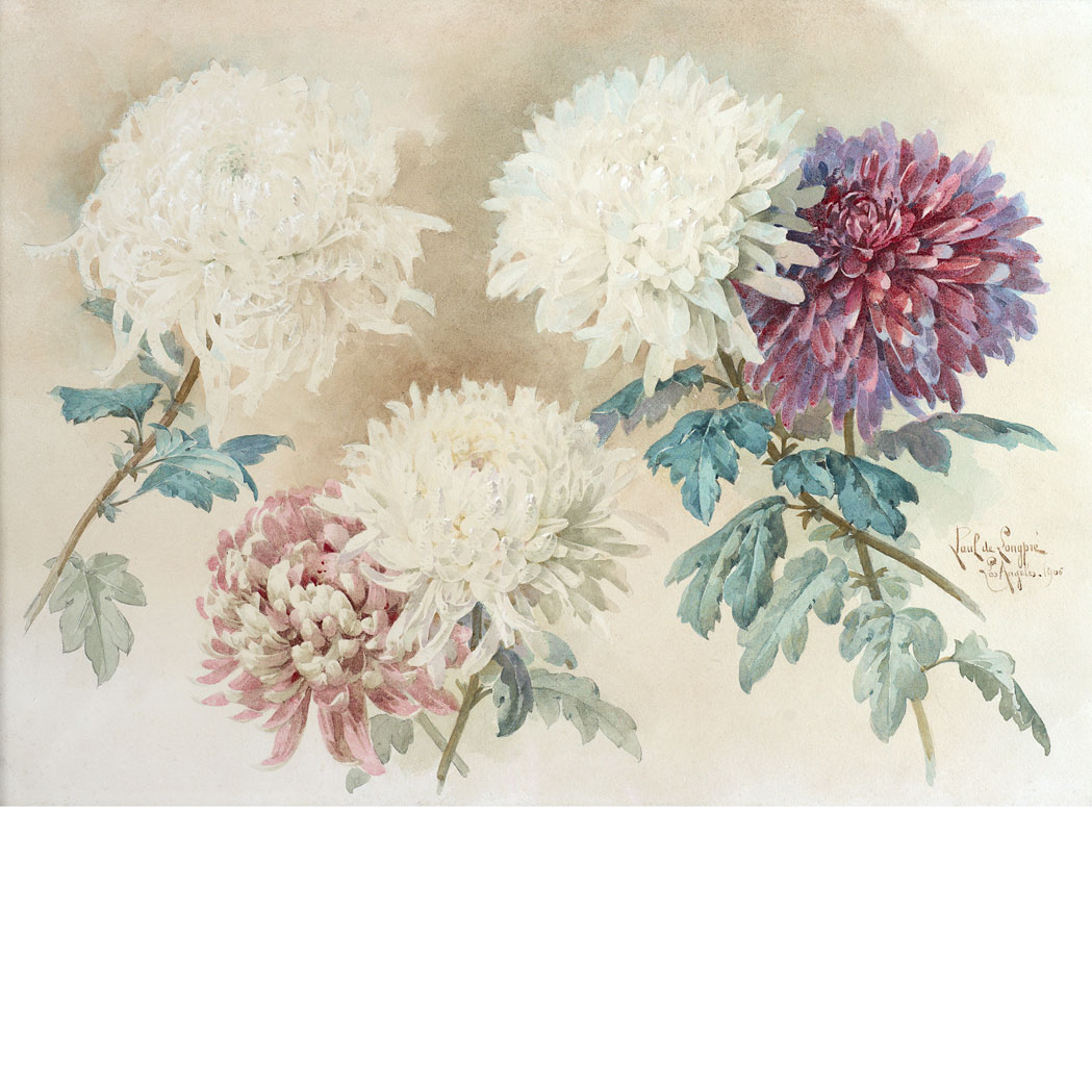 Appraisal: Paul de Longpre French American - Chrysanthemums Signed Paul de