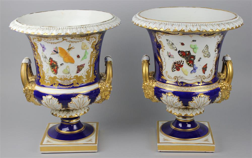 Appraisal: MATCHED PAIR OF BLOOR DERBY BUTTERFLY CAMPANA URNS - each