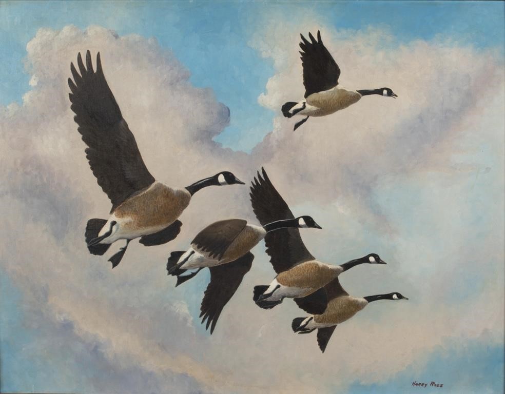 Appraisal: Flying Canada Geese signed Harry Ross lower right oil on