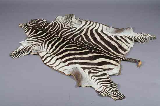 Appraisal: ZEBRA SKIN - App ft in x ft in