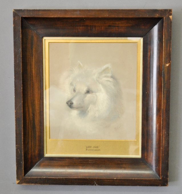 Appraisal: - Pastel canine portrait titled Lady Jane Pomeranian signed l