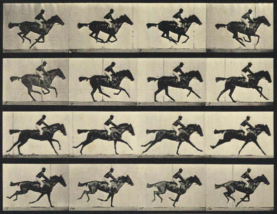 Appraisal: SIGNED INSCRIBED BY THE AUTHOR MUYBRIDGE EADWEARD - Animal Locomotion