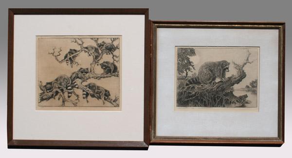 Appraisal: MOORE Benson Bond American - raccoon etchings ''Prowling Raccoon'' ''