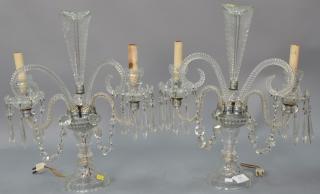 Appraisal: Pair of crystal candelabras having two lights and feather finial