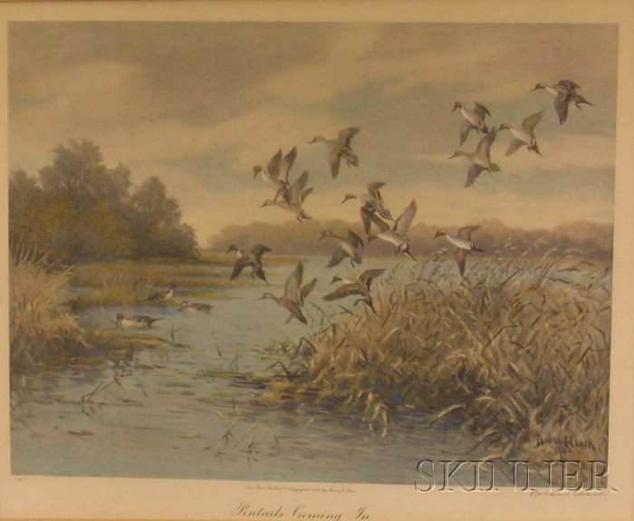 Appraisal: Framed Print Pintails Coming In after Roland Clark published by