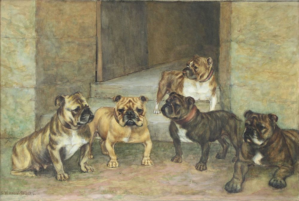 Appraisal: GEORGE VERNON STOKES ENGLISH - Watercolor Bulldogs Signed lower left