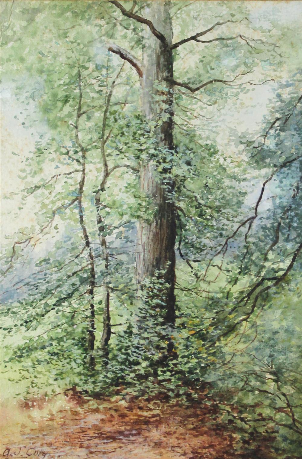 Appraisal: A S CORY TREES Watercolor x in sight Framed lower