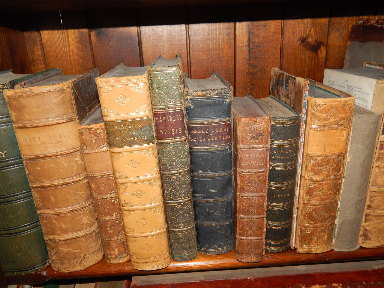 Appraisal: Bindings Calf and morocco bindings including Webster's Domestic Economy Dryden's