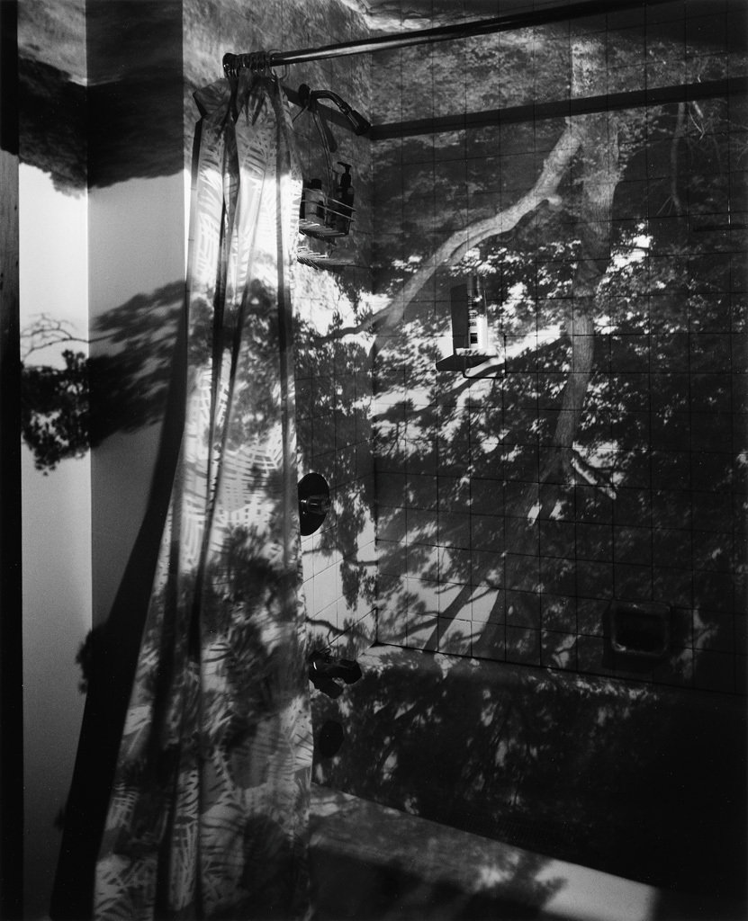 Appraisal: ABELARDO MORELL - Tree in the Bathroom from the series