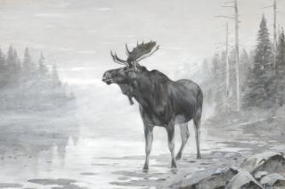 Appraisal: CARL RUNGIUS - Misty Mooseoil on board x inchessigned lower