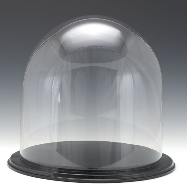 Appraisal: RARE SIZE GLASS DOME WITH CUSTOM WOOD BASE x dome