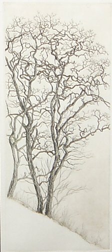 Appraisal: Locust Trees Brandywine Powder Mill Etching on Paper Woodcut on