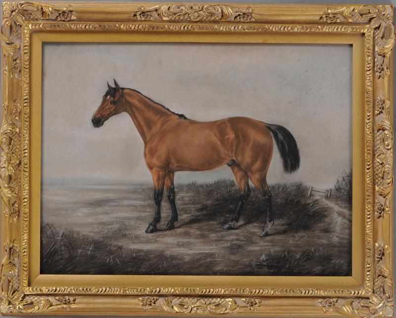 Appraisal: ENGLISH SCHOOL PORTRAIT OF A HORSE Pastel on paper unsigned