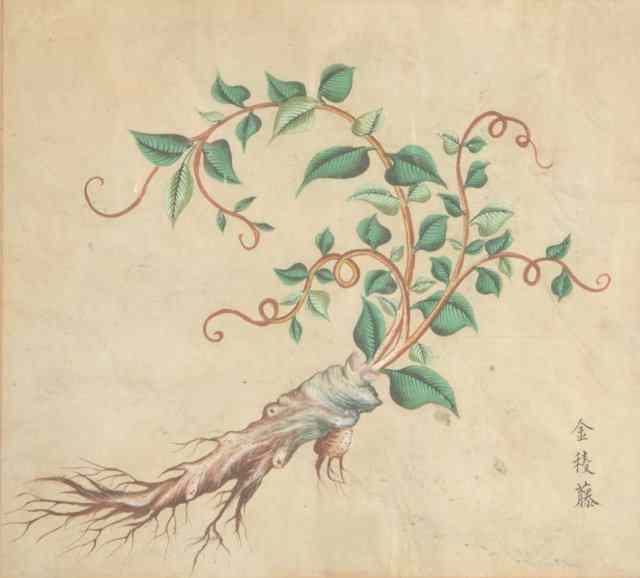 Appraisal: A SET OF SEVEN CHINESE ALBUM WATERCOLOUR STUDIES of flowers