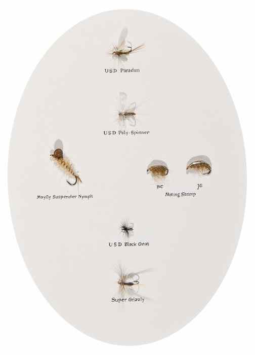 Appraisal: Goddard John and Brian Clarke The Trout and the Fly