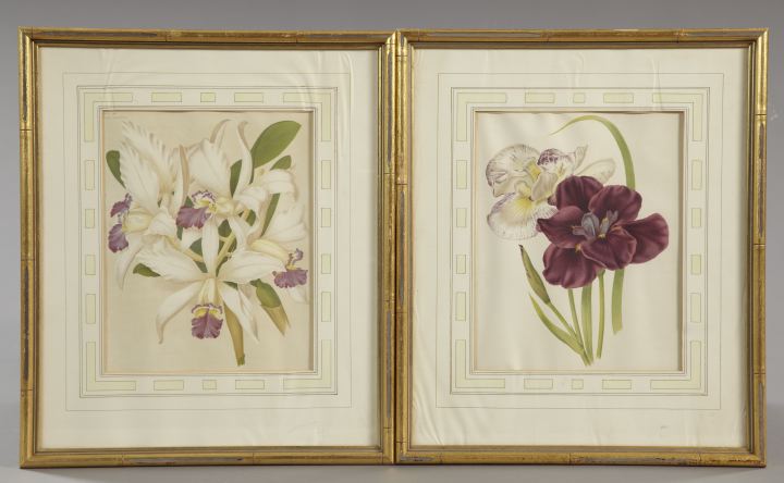 Appraisal: English School Early th Century Orchids and Deep Purple and