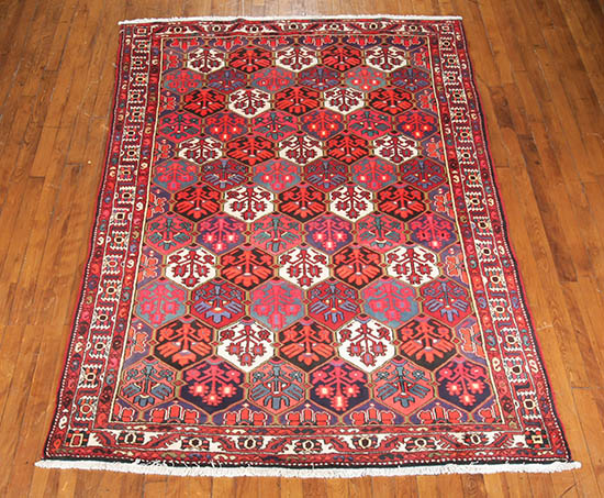 Appraisal: Bakhtiari Rug Contemporary Diagonal hexagonal medallions enclosing flowers on variegated