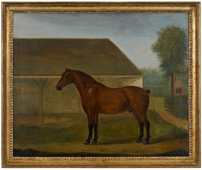 Appraisal: Francis Sartorius British - Portrait of a Bay Stallion Bob