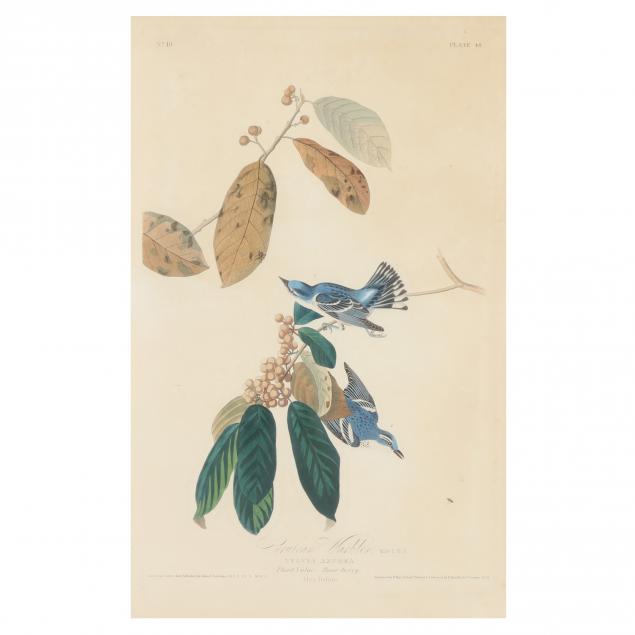 Appraisal: JOHN JAMES AUDUBON AMERICAN CERULEAN WARBLER HAVELL EDITION Hand-colored engraving