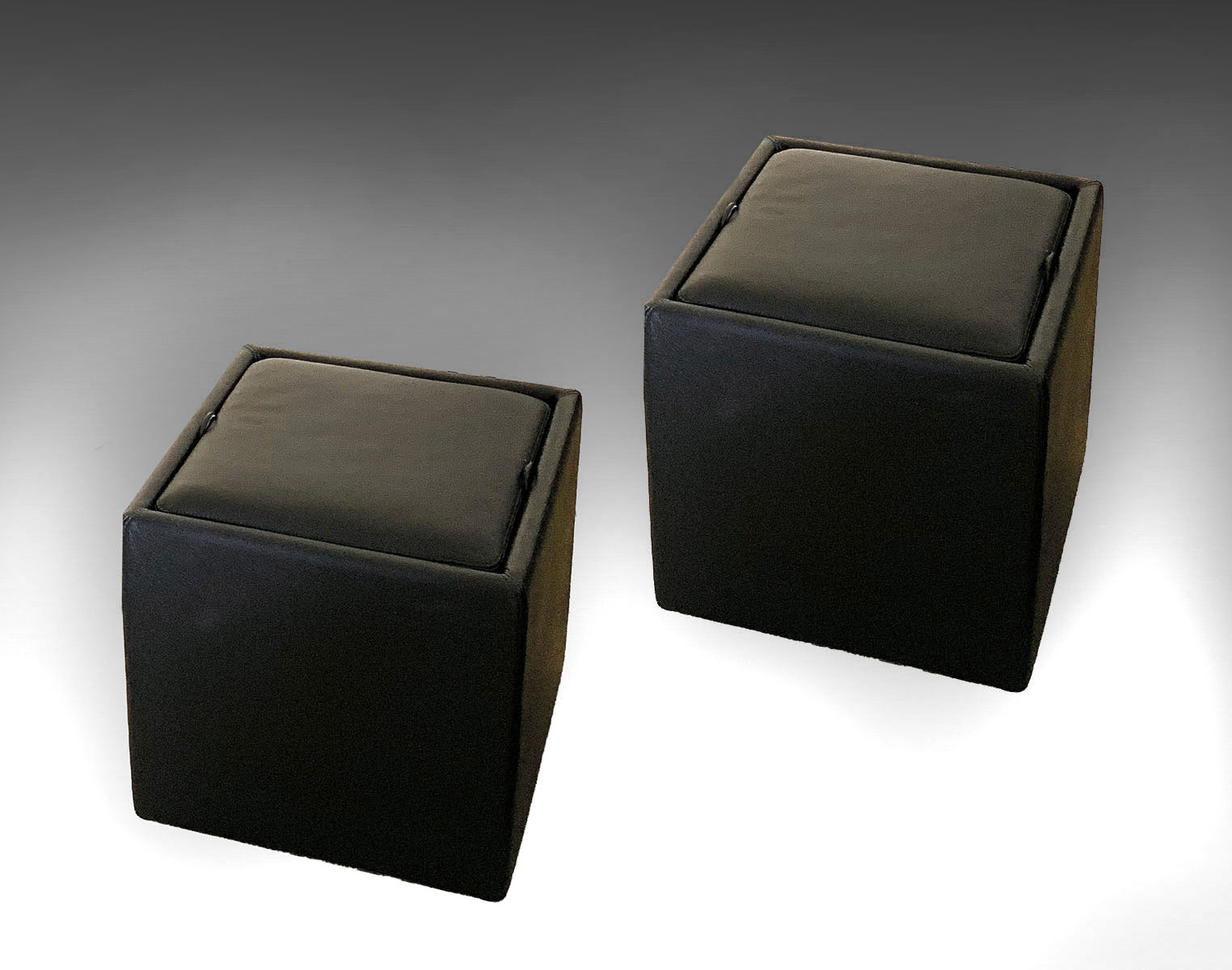 Appraisal: PAIR OF LEATHER STORAGE CUBES BY NEXUS DESIGN WITHIN REACH