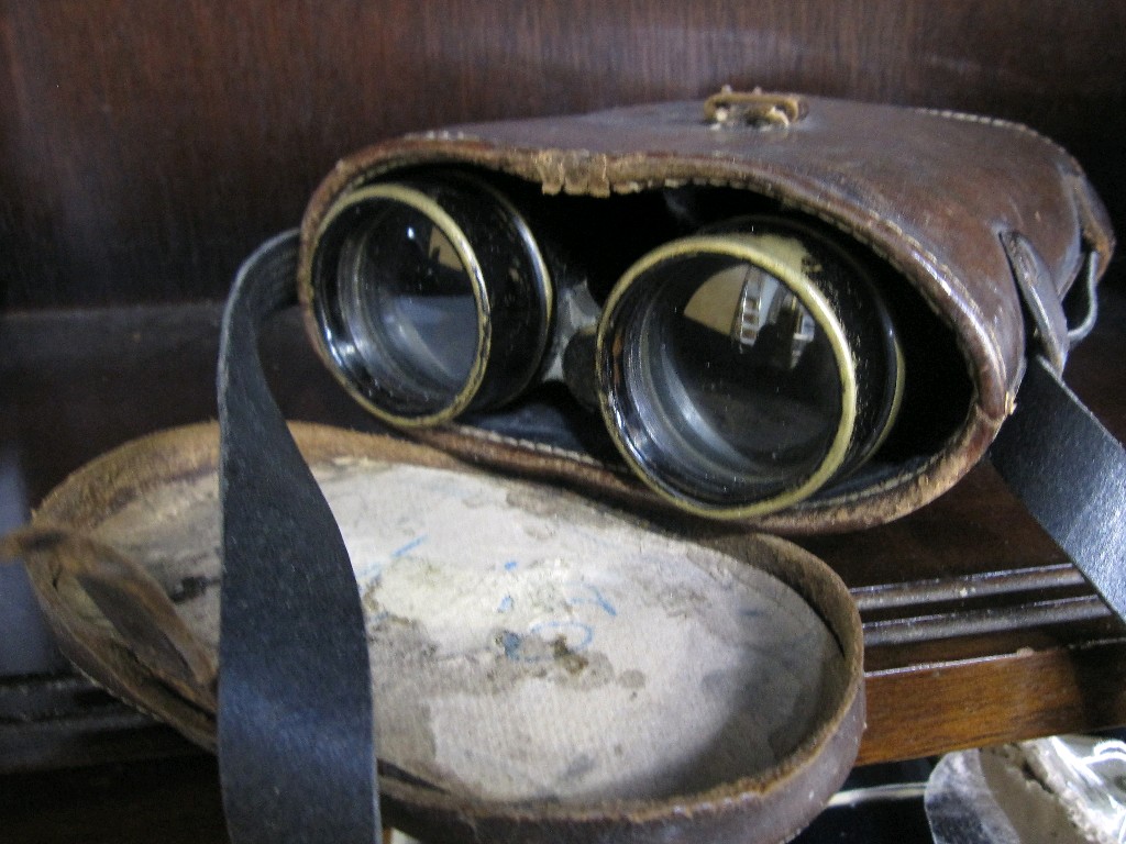 Appraisal: Pair of binoculars in case