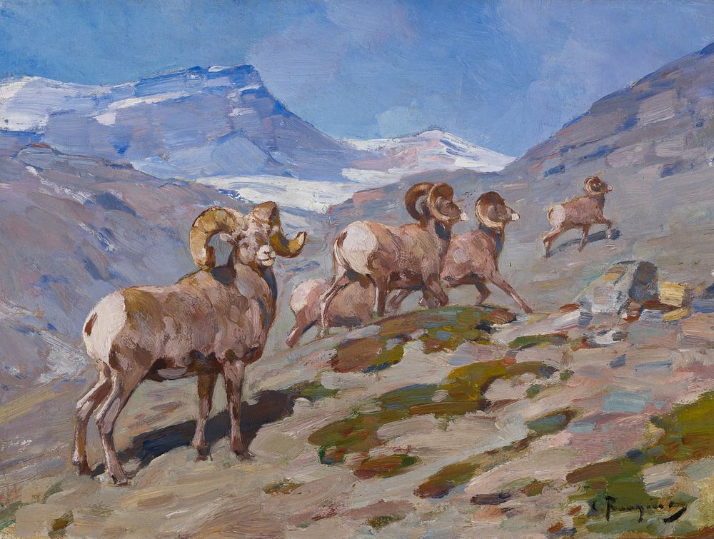 Appraisal: Carl Rungius Bighorn Sheep Nigel Pass Alberta Carl Rungius Bighorn