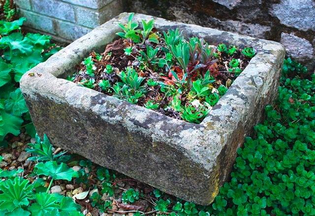 Appraisal: A Cotswold stone square trough square x high