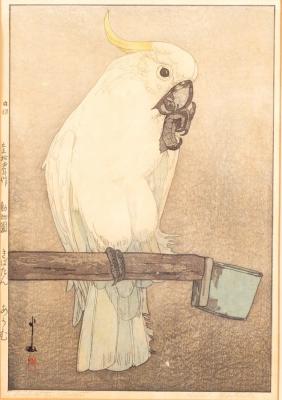 Appraisal: Hiroshi Yoshida - Kibatan Parrot woodcut cm x cm