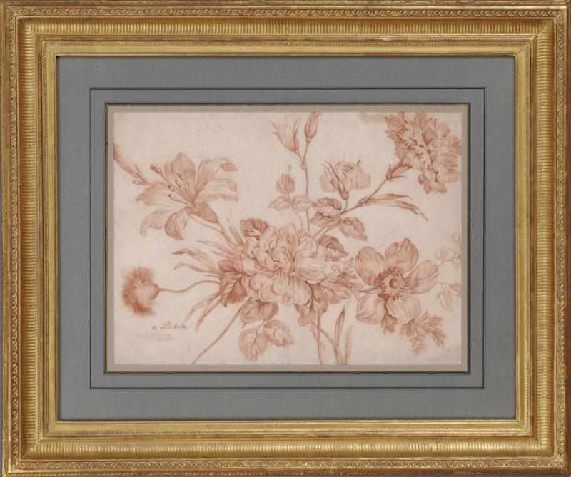 Appraisal: FRENCH SCHOOL FLORAL STUDY Red chalk on laid paper signed