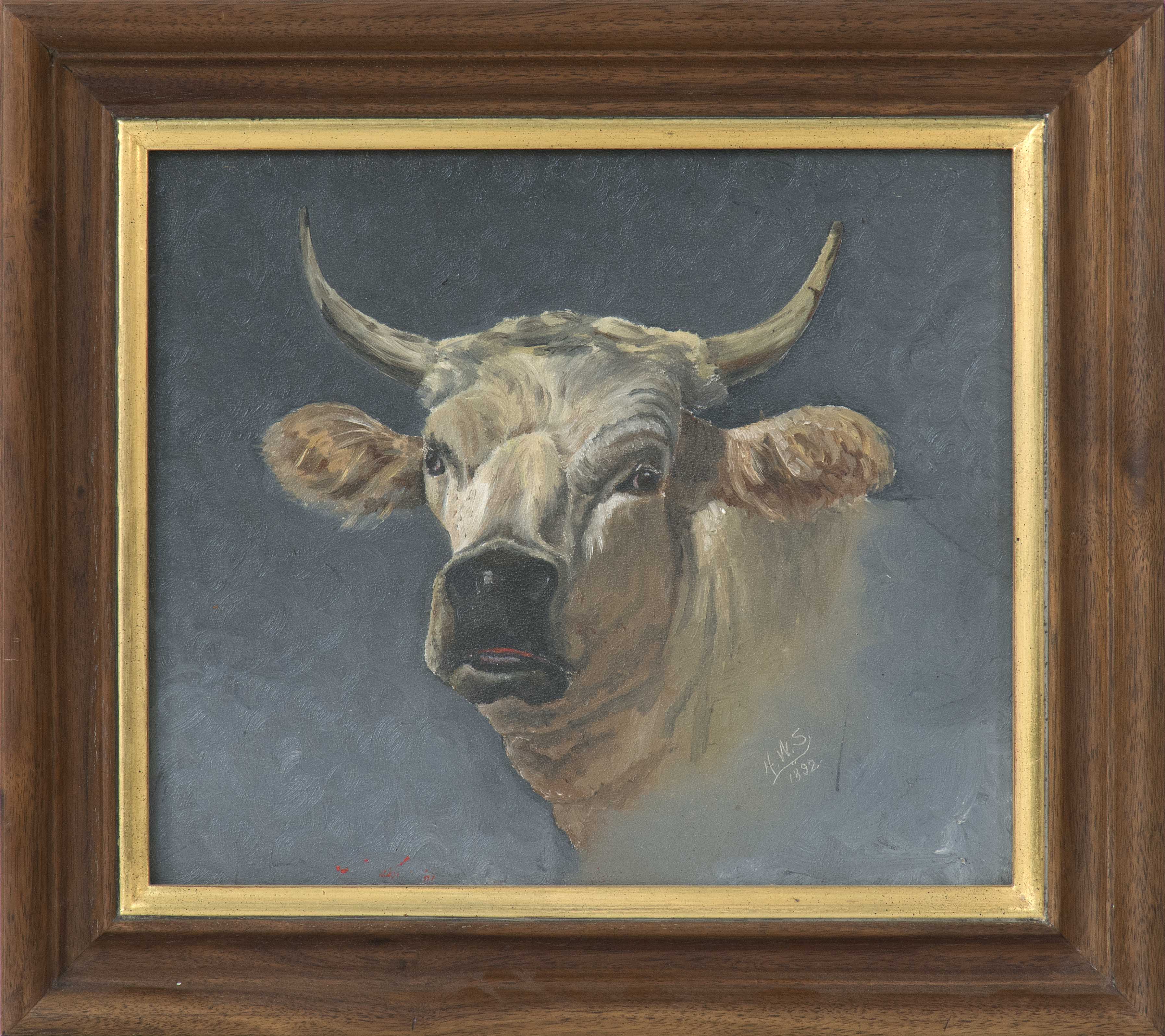 Appraisal: AMERICAN SCHOOLLate th CenturyPortrait of a steer Signed and dated